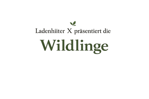 Mein Shop